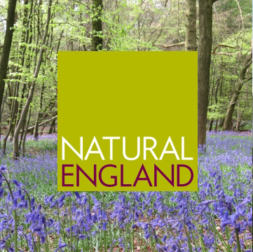 Natural England logo